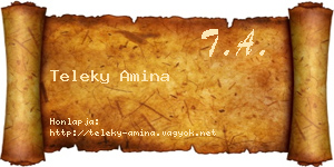 Teleky Amina névjegykártya